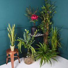 room with blue walls plant in white pot and flower in vase 