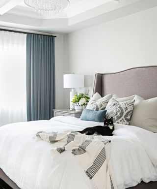 neutral bedroom with gray walls, and gray bed with white bedding and cat