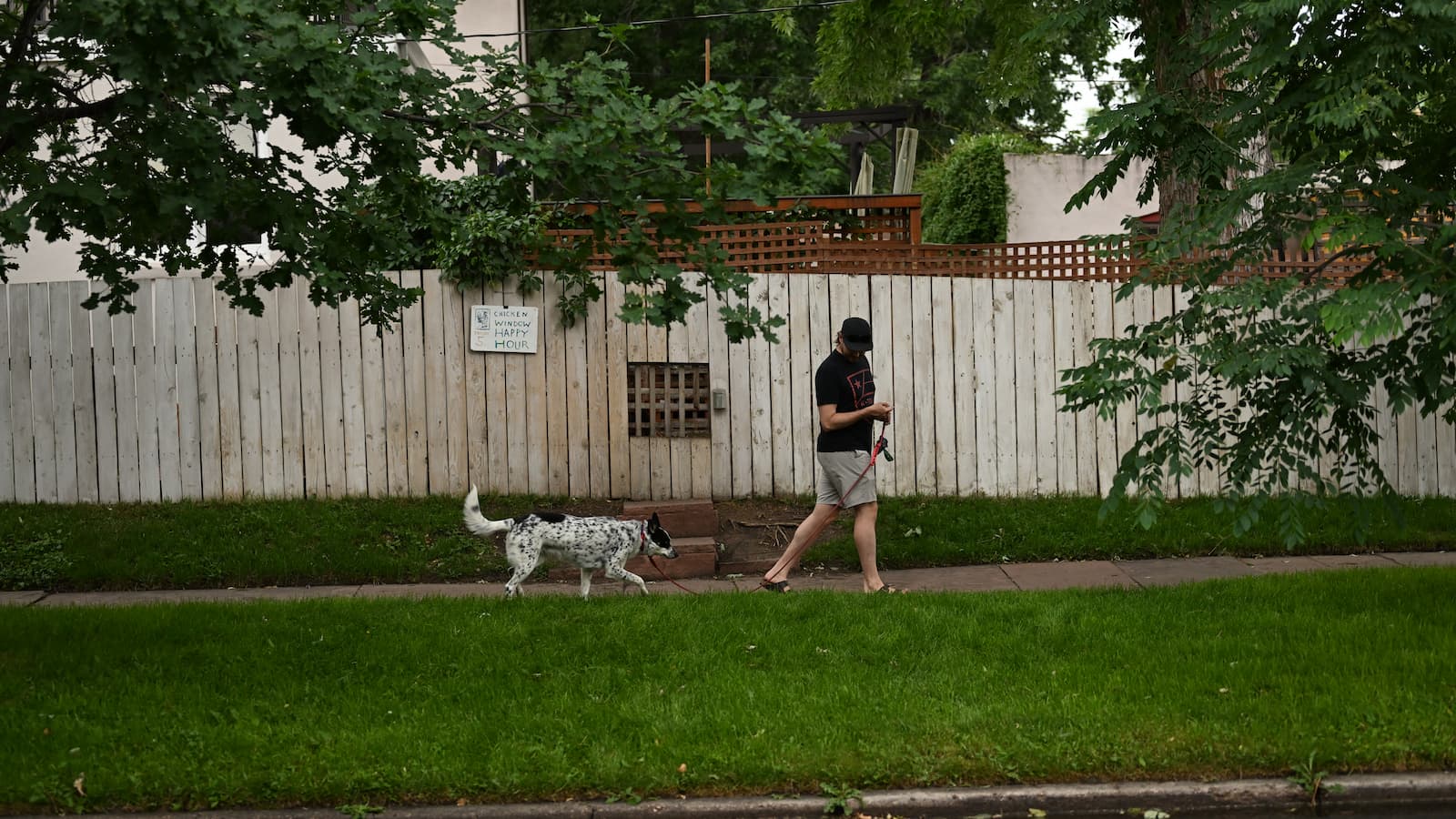 A man walking his dog passed a garden fence