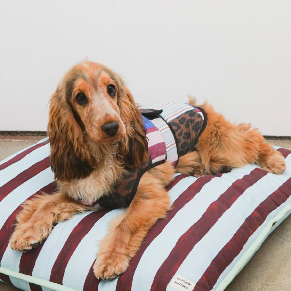 Damson Madder campaign imagery