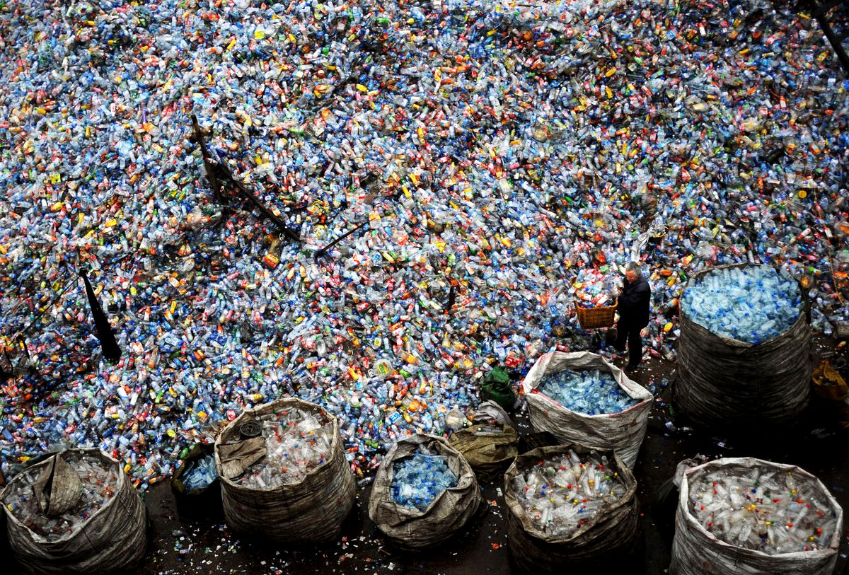 fruit-plastic-containers - Plastic Oceans International