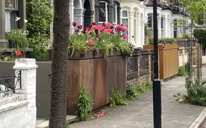 a front garden with built in bike storage planters made from corten steel