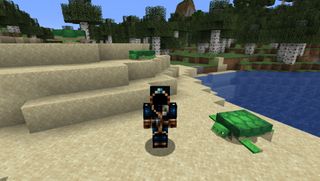 Minecraft skins - A mysterious wizard hangs out with turtles on the beach