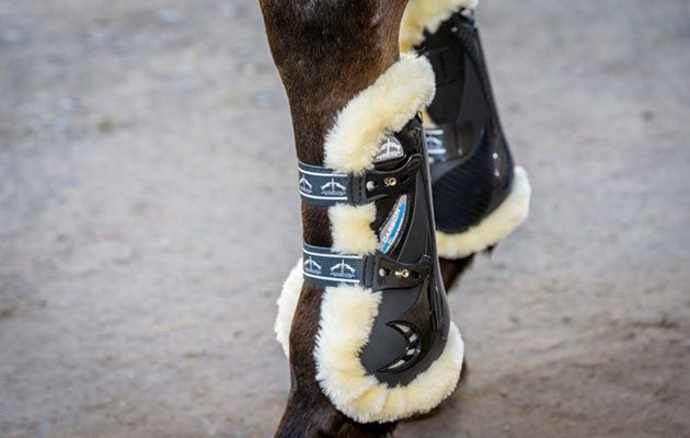 Veredus STS Carbon Gel Vento boots review