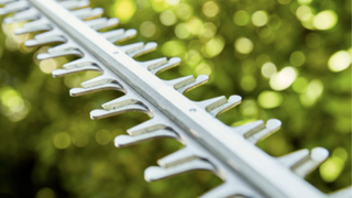 Image of a hedge trimmer blade