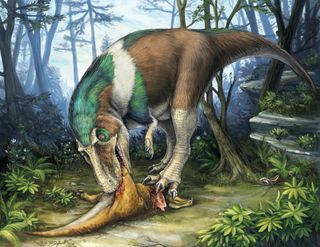 illustration showing Gorgosaurus eats Corythosaurus dinosaur