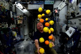 A year in space means a year away from the supermarket. Here, NASA astronaut Scott Kelly poses with a delivery of fresh fruit on the International Space Station that arrived in late August on a Japanese cargo ship.