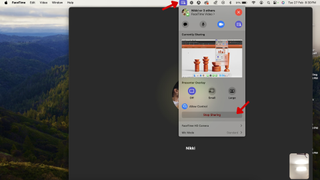 Screenshot of the FaceTime app on a Mac, with a red arrow pointing at the purple share icon in the menu bar and another red arrow pointing at Stop Sharing. 