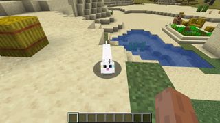 Minecraft songs - a cat looking up at the player