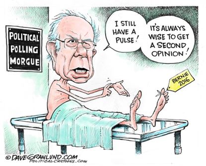 Political Cartoon U.S. Bernie Decision 2016