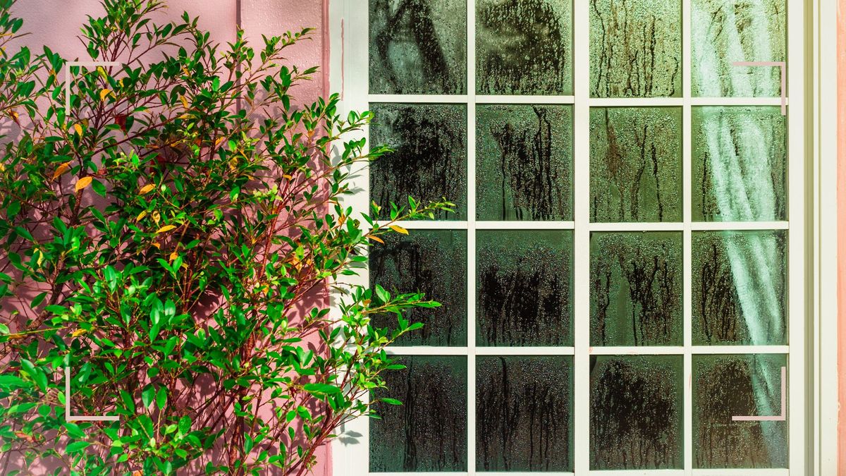 Experts reveal how to reduce humidity in a house in winter Woman & Home