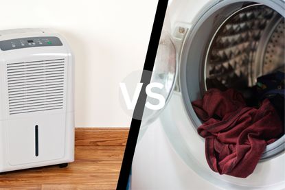 Dehumidifier vs tumble dryer