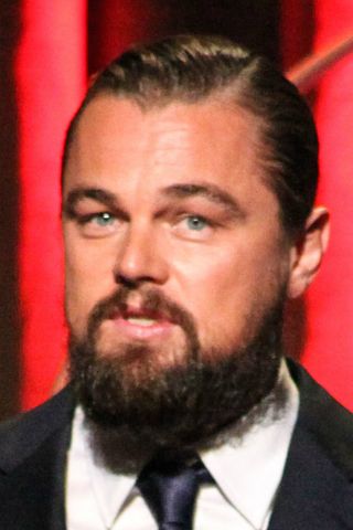 Beard; Leonardo DiCaprio