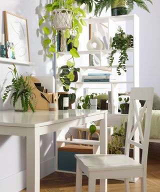 A white bedroom with a white desk and chairs with a plant and file organizer and a white open bookcase behind with with multiple green plants and books on it