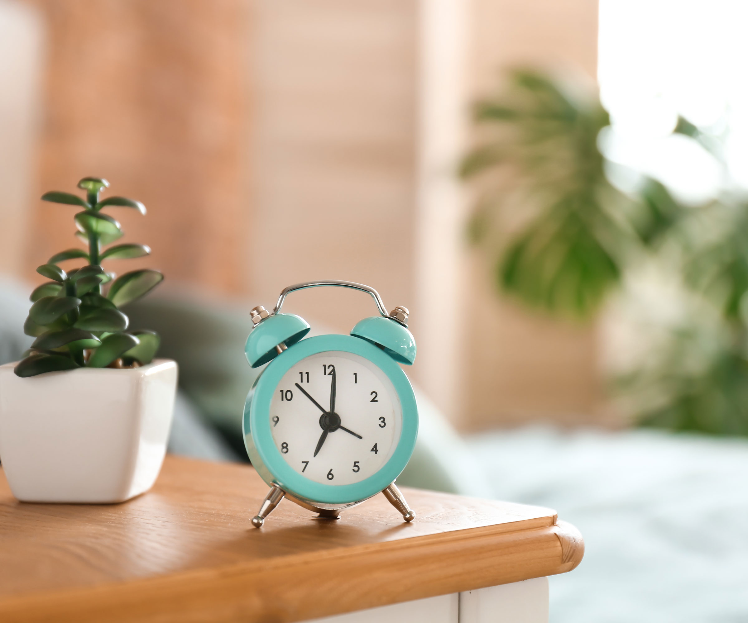 houseplant and clock on bedroom table