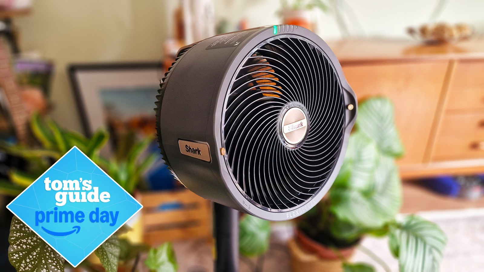 Shark FlexBreeze Pro Mist Indoor Outdoor Pedestal & Table Fan With Water Tank