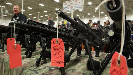 Virginia gun show in 2016