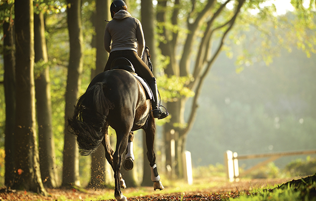 Health benefits of horse riding
