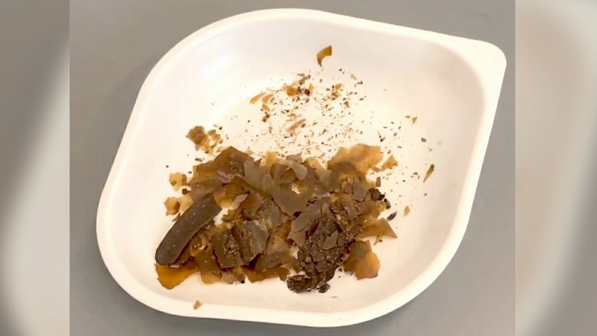 white plastic plate with brownish flakes on it