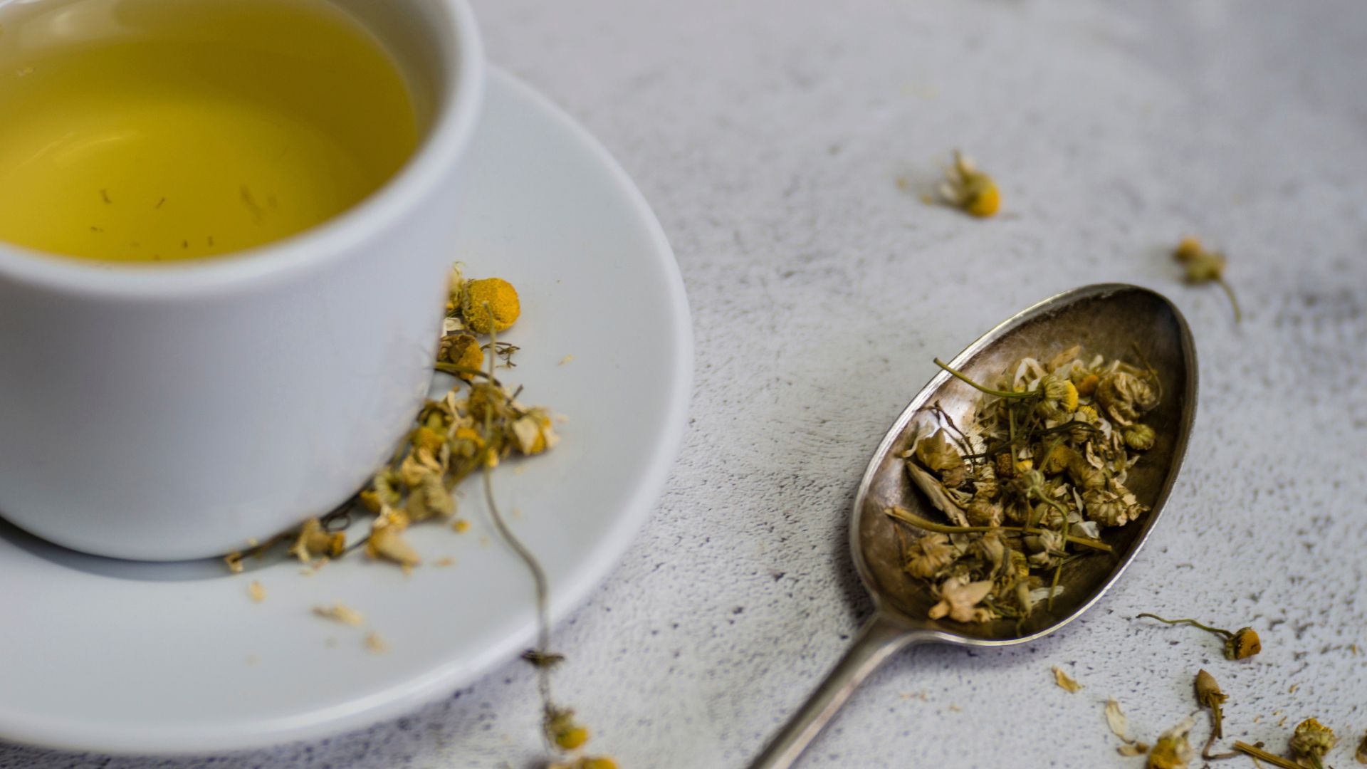 Chamomile seeds sitting on spoon next to cup of tea