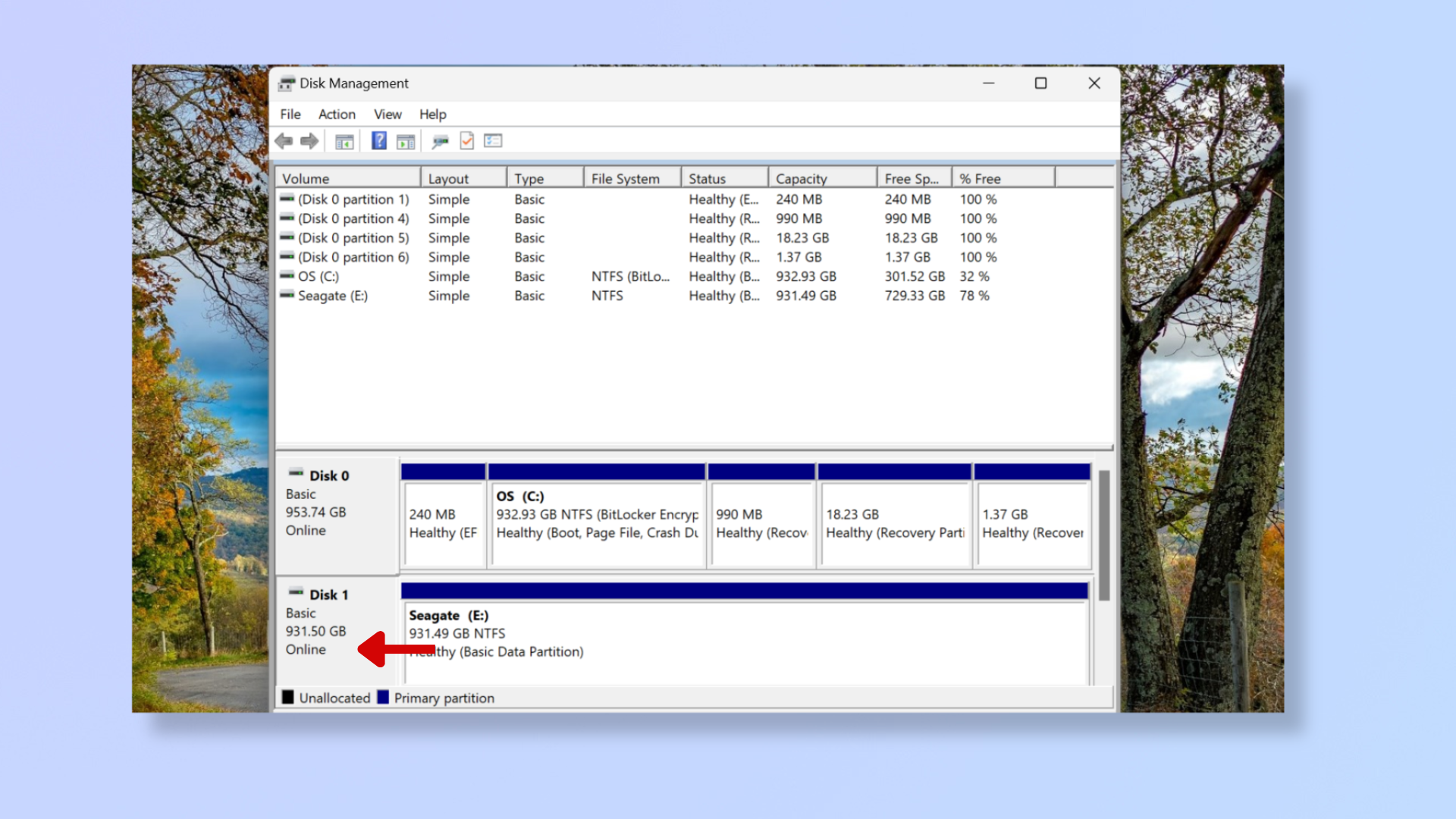 A screenshot of the Disk Management tool on Windows, with a red arrow pointing at a gray box beside the hard drive. 