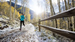 winter running tights