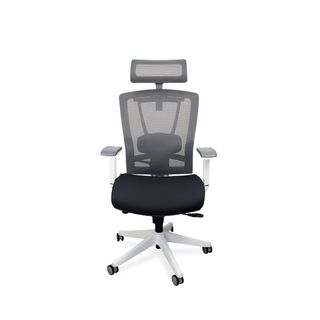 Autonomous ErgoChair Pro