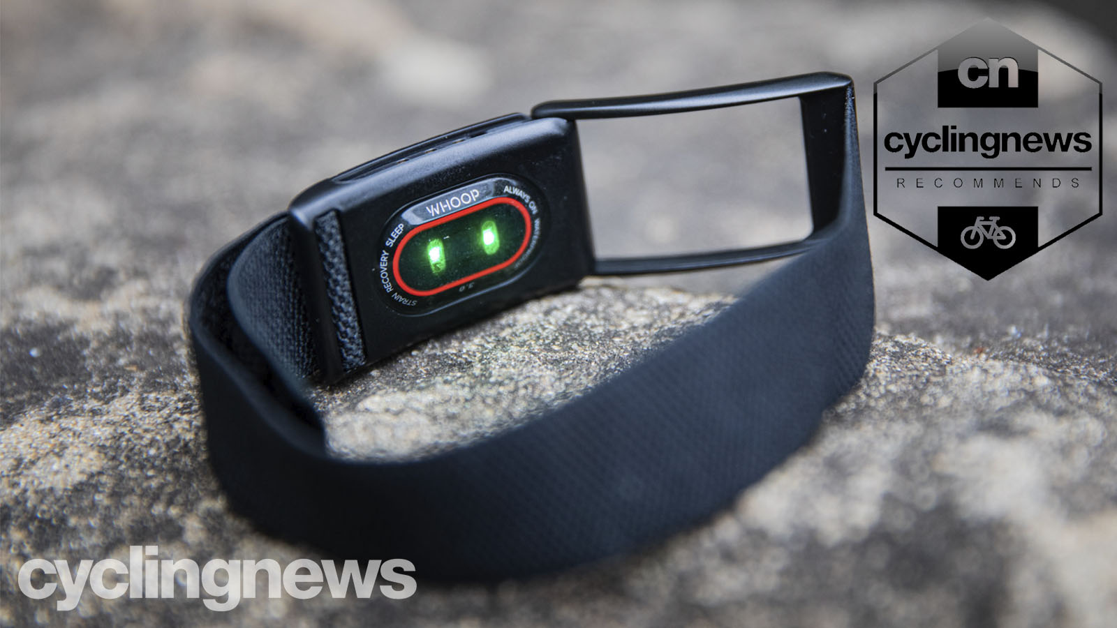 Is the WHOOP Fitness Tracker Worth the Big Price Tag?