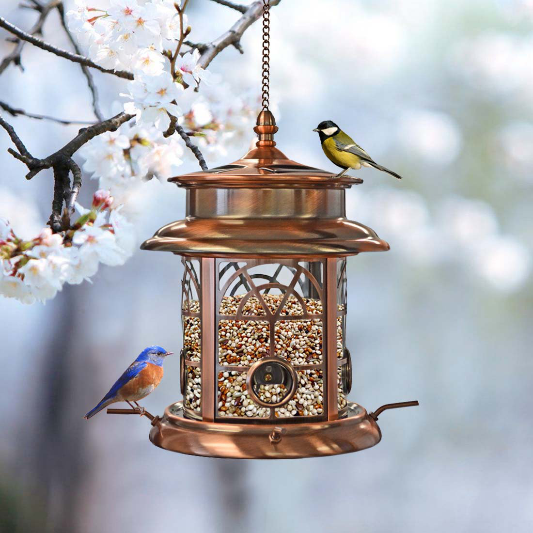 Canora Grey Norcross Solar Tube Bird Feeder &amp;amp; Reviews | Wayfair