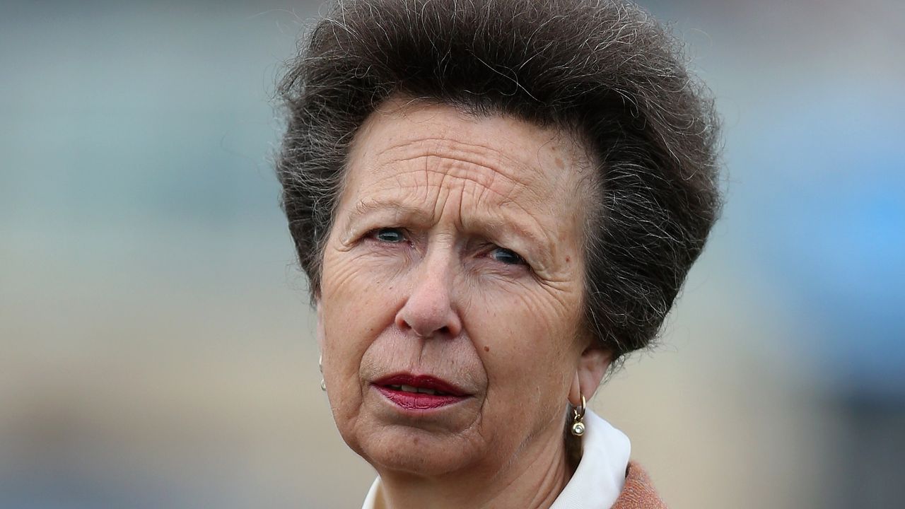 Princess Anne&#039;s silk scarf showcased autumn pastels at her latest engagement. Seen here is the Princess Royal prior to the J20 Spritz Scarbrough Stakes at Doncaster Racecourse