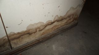 rising damp on walls