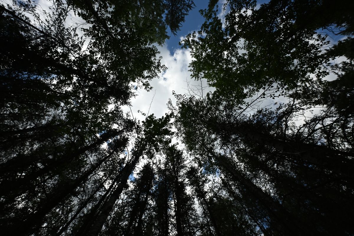 An image taken with the Tamron 12-20mm f/2.8