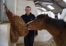 Sephie_tucks_into_some_steamed_hay.jpg