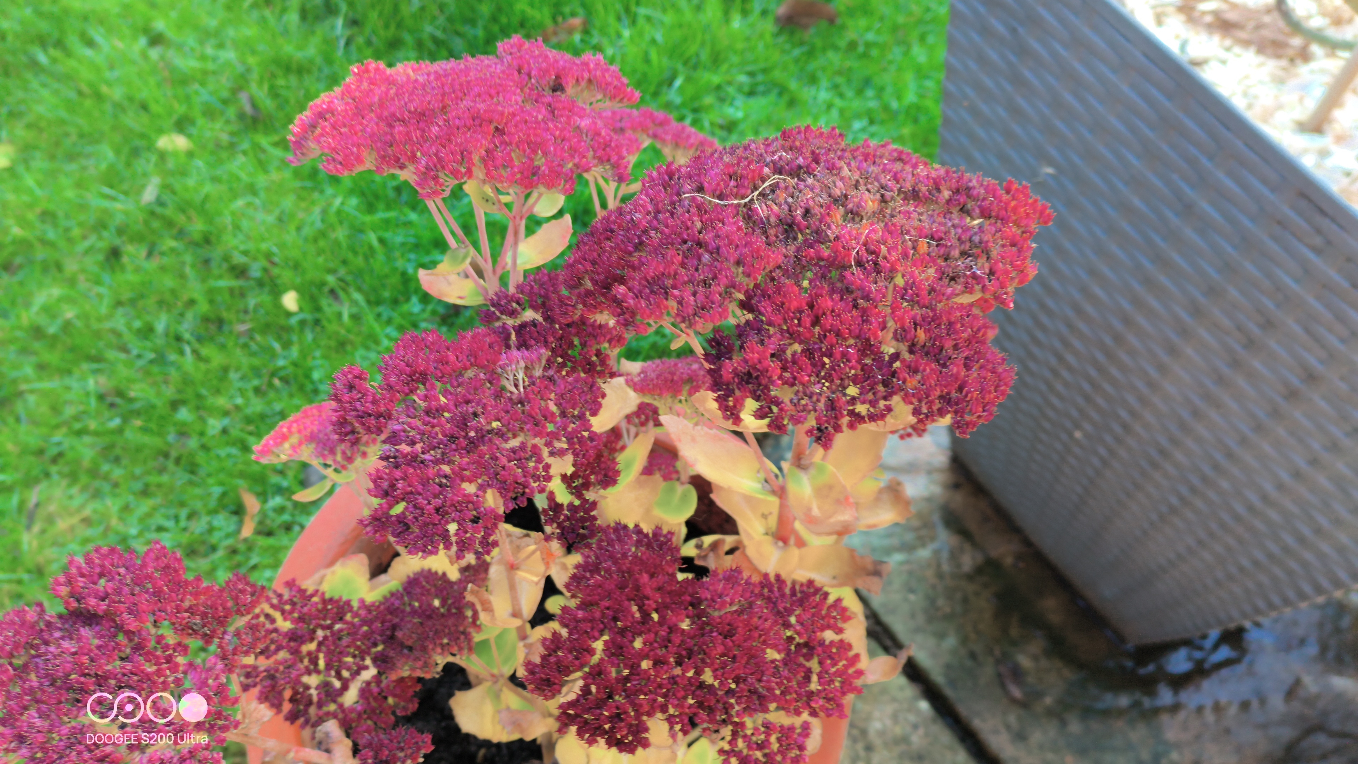 Doogee S200 Ultra Photo Examples