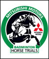 Badminton06logobdth.jpg