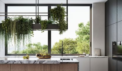 hanging plants over a kitchen island