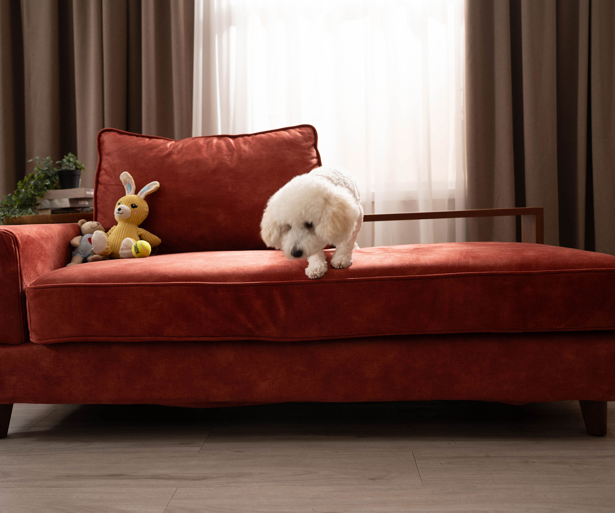 red chaise long with pet-friendly washable covers