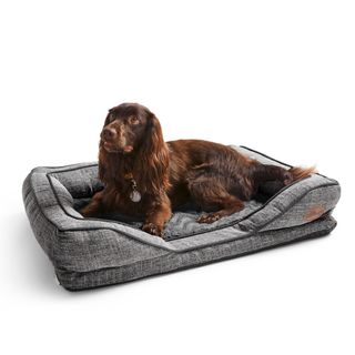 Silentnight Orthopaedic Pet Bed