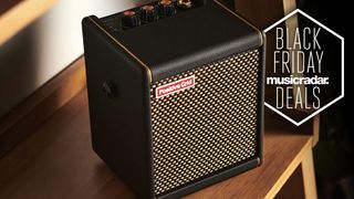 Positive Grid Mini on a shelf