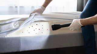 Someone checking a mattress for bed bugs with a flash light