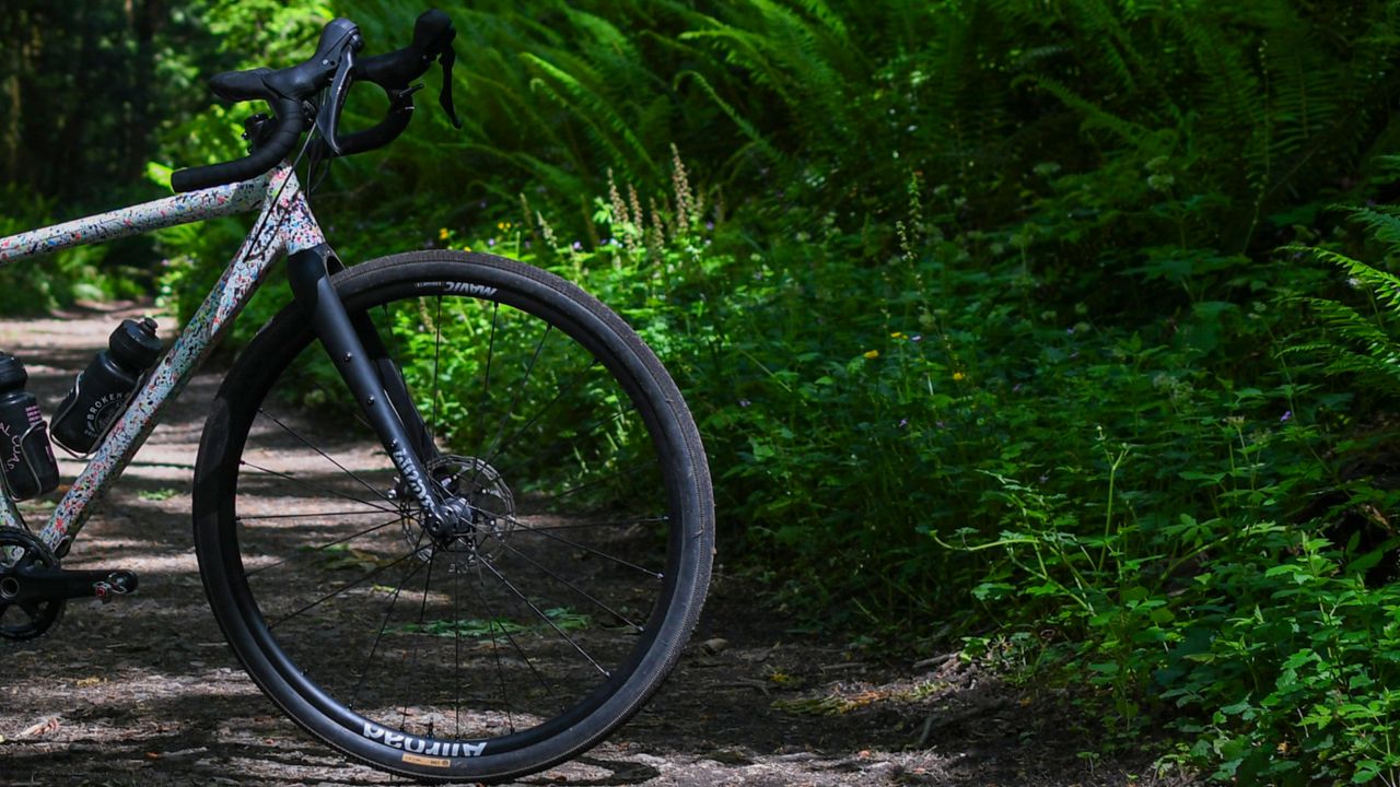 Wilde carbon Adventure Fork