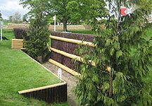 badminton-fence-2.jpg