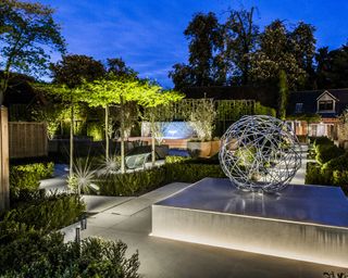 parasol pleached trees with lighting in modern garden