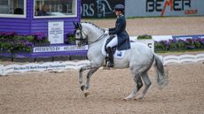 World Dressage Championships elimination: Lyndal Oatley and Eros