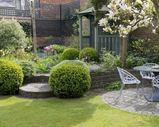 A walled town garden with a circular patio seating area, raised mixed borders with box, hebe and tulips, and a painted wooden gazebo.