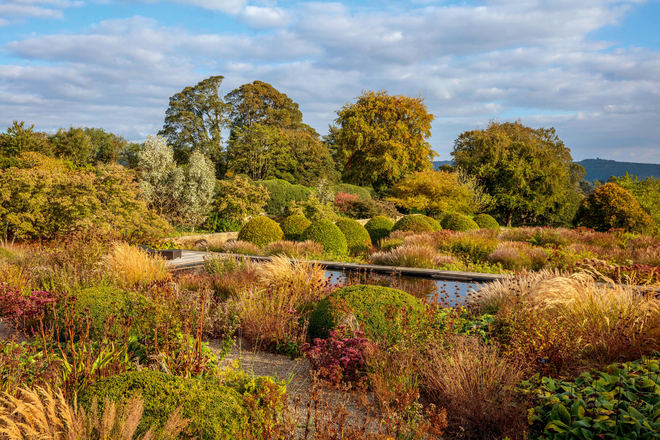 The garden at Mount St John, Felixkirk