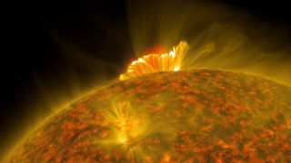 Close-up of an anemone solar eruption.