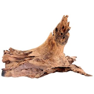 11-13 inch light colored driftwood for air plants from