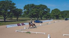 A horse being ridden in a dressage arena at Hickstead.