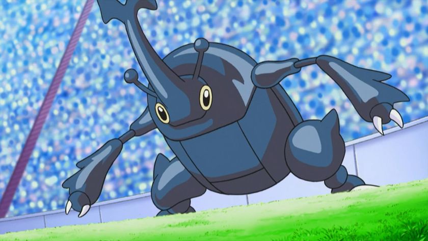 Heracross as seen in the Pokemon anime.